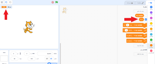 نمایش متغیر