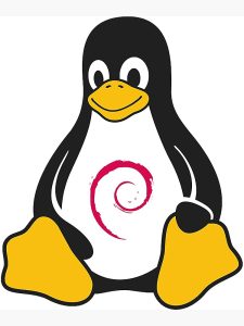 دستورات پرکاربرد خط فرمان دبیان